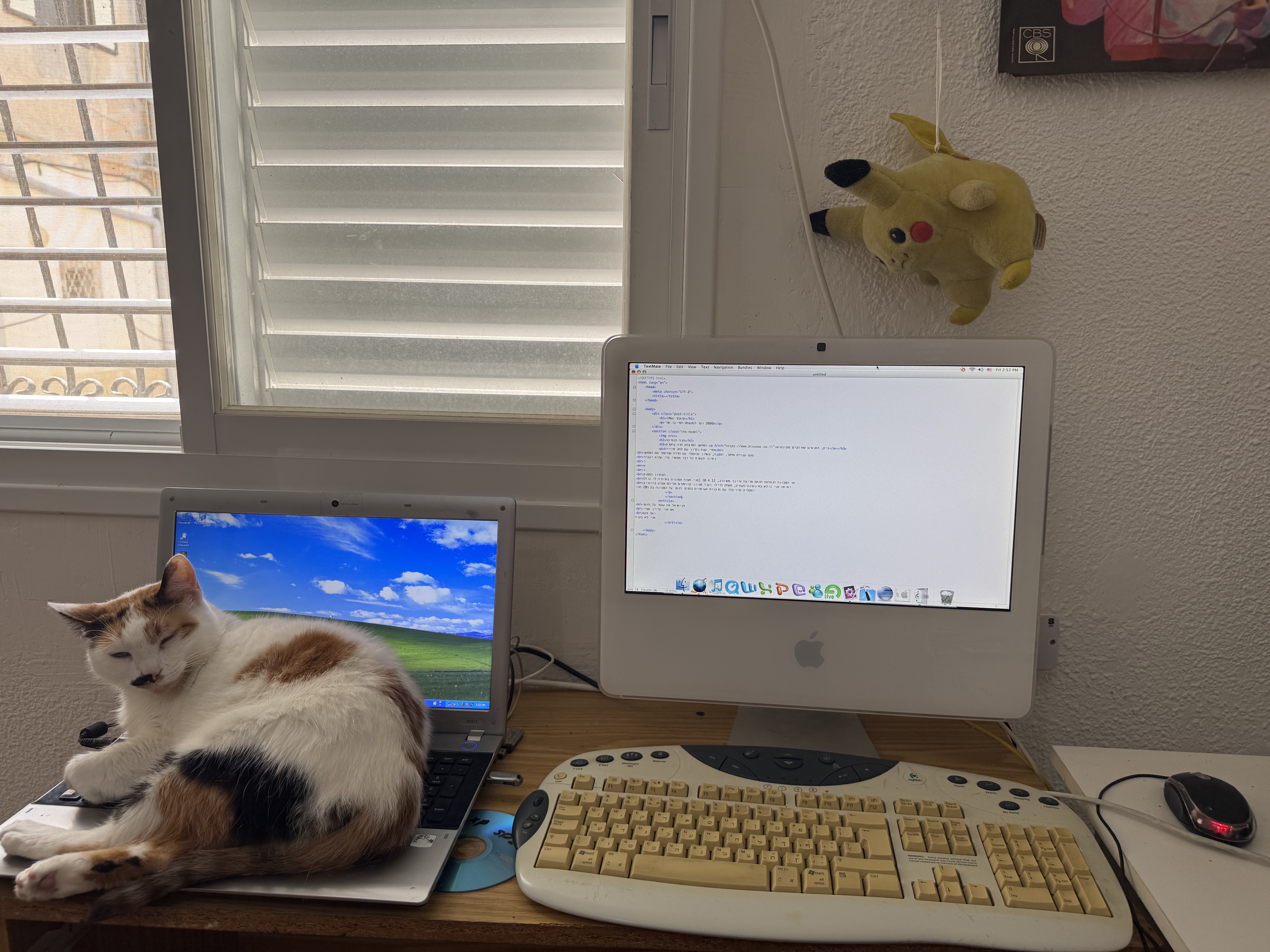 cool iac froom 2006 and a cat